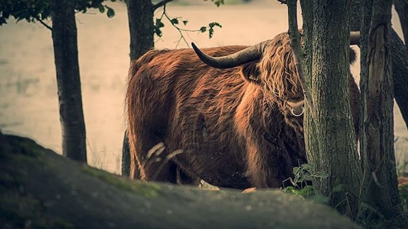 Omgeving - Wandelvakantie Over de Hondsrug