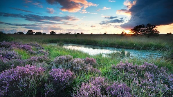 Omgeving - Wandelvakantie Over de Hondsrug