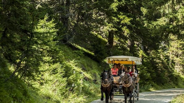 Huifkar - Landal Katschberg