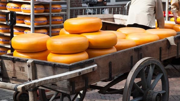 Kaasmarkt Alkmaar - College Hotel Alkmaar