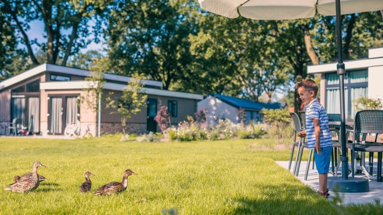 Sfeerimpressie - EuroParcs Kaatsheuvel