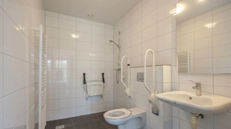 Badezimmer - Roompot Resort Arcen