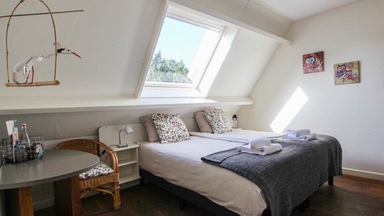 Standaardkamer - Hotel 1900