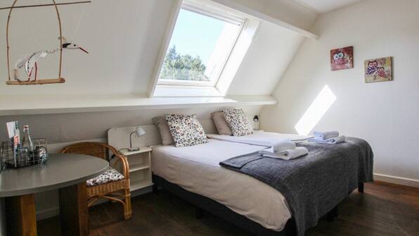 Standaardkamer - Hotel 1900