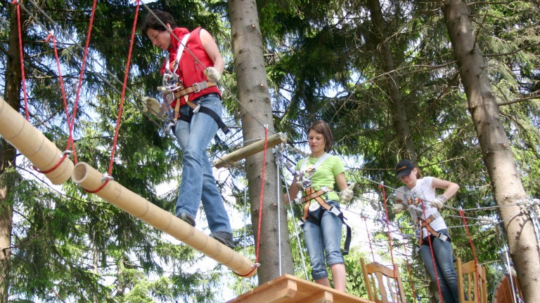 Kletterwald