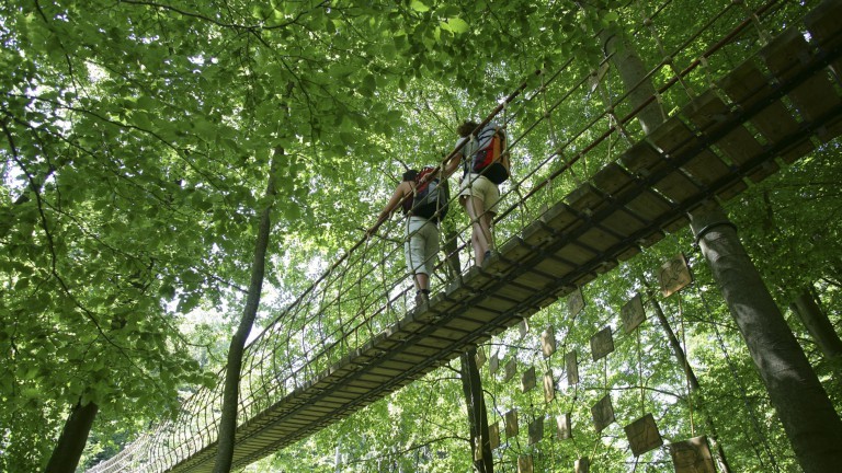 Kletterwald