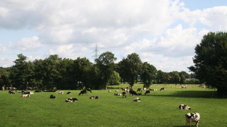 Omgeving - Bed en Broodje Sagenland