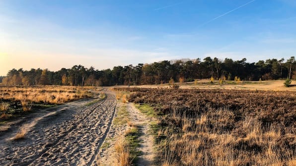 Loonse en Drunense Duinen - Luxexcellent