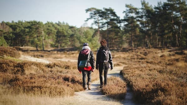 Omgeving - Grand Café Hotel Karsten