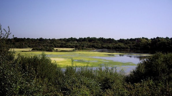 Omgeving - Hotel Restaurant t Wapen van Marion Omgeving - Hotel Restaurant t Wapen van Marion