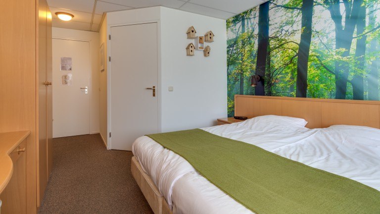 Standaardkamer - Hotel Café Restaurant Prinsen