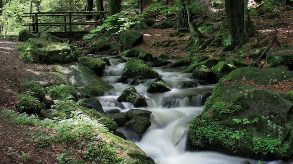 Teutoburger Wald Teutoburger Wald