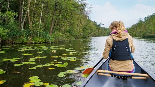 Biesbosch - Studio SIS