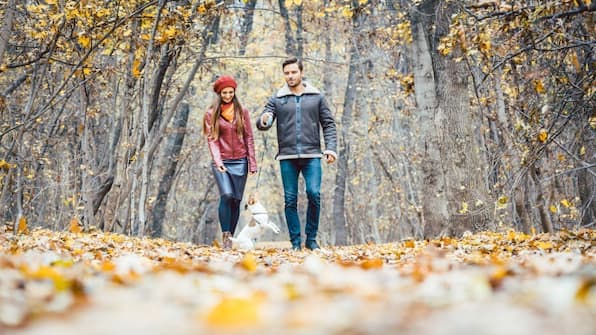 Gehen - Trans World Hotel Auefeld