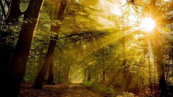 Montferland - Hotel Zonneheuvel Montferland - Hotel Zonneheuvel