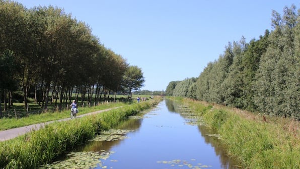 Omgeving - Vakantiepark Delftse Hout