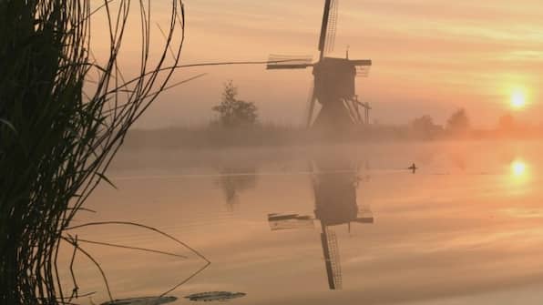 Umwelt - Gastenverblijf Rodenburg