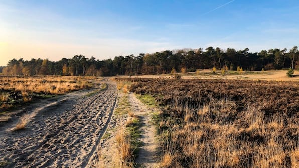 Loonse en Drunense Duinen - ibis Hotel Tilburg