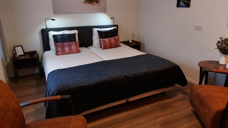 Standaardkamer - Hotel de Zwaan Schoondijke