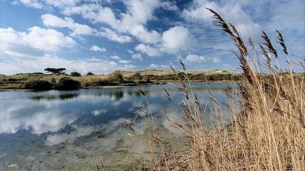 Schoorlse Duinplas - Villa der Hazelaar Schoorlse Duinplas - Villa der Hazelaar