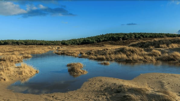 Dünen - Villa der Hazelaar