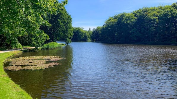 Umwelt - Hilton The Hague 