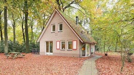 Außenansicht - Landal Landgoed 't Loo