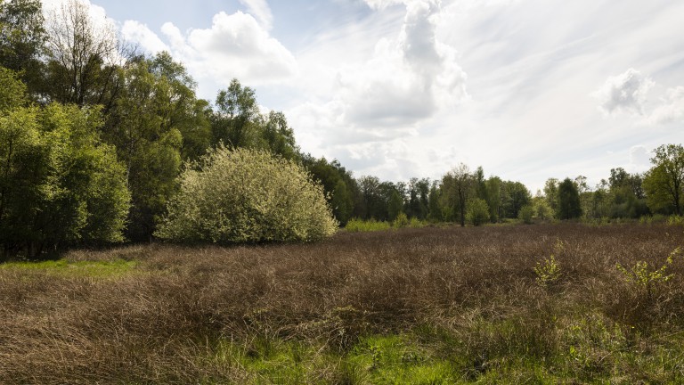 De Peel - Fietsvakantie De Groote Peel