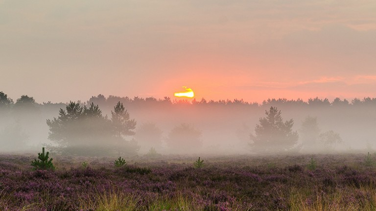 Omgeving - Fietsvakantie De Groote Peel