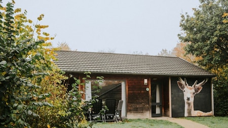 Außenansicht - Vakantiepark Dierenbos
