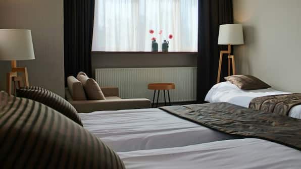 Comfort plus kamer - Hotel de Roode Leeuw