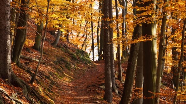 Omgeving