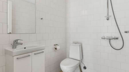 Badkamer - Landal Søhøjlandet Badkamer - Landal Søhøjlandet