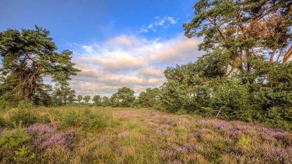 Twente - Fietsvakantie Achterhoek - Twente - Salland