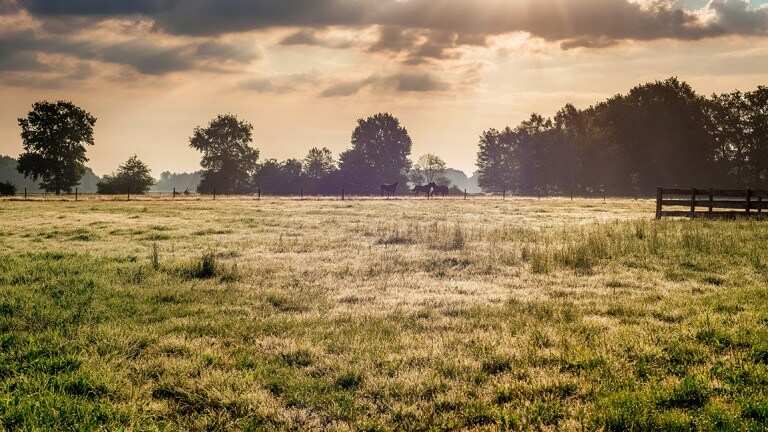 Mehrtägiger Fahrradurlaub Achterhoek Twente Salland - Kurzwego.de