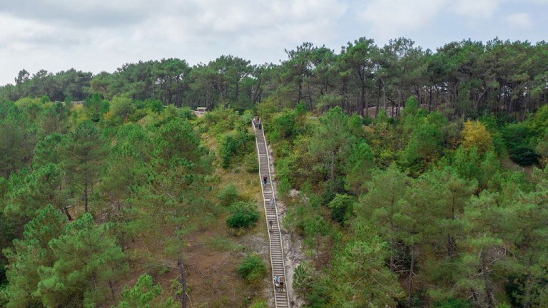 Omgeving - Landal Berger Duinen