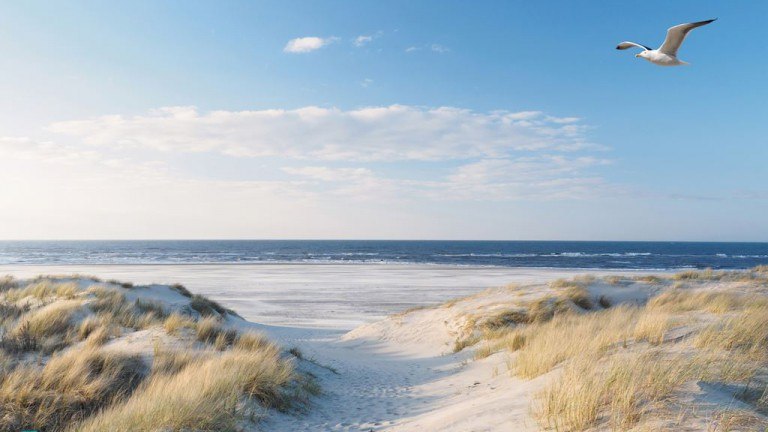 Strand - Landal Berger Duinen