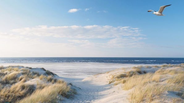 Strand - Landal Berger Duinen