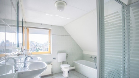 Badkamer - EuroParcs Ijsselmeer Badkamer - EuroParcs Ijsselmeer