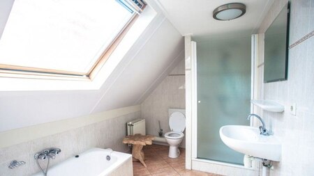Badezimmer - EuroParcs Ijsselmeer