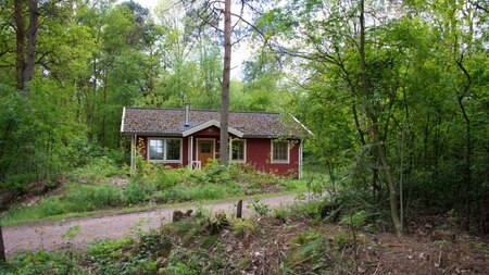 Außenansicht - EuroParcs der Wiltzangh