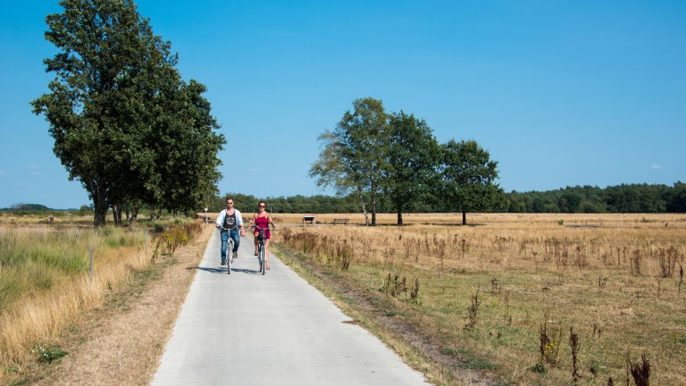 Radfahren - EuroParcs der Wiltzangh