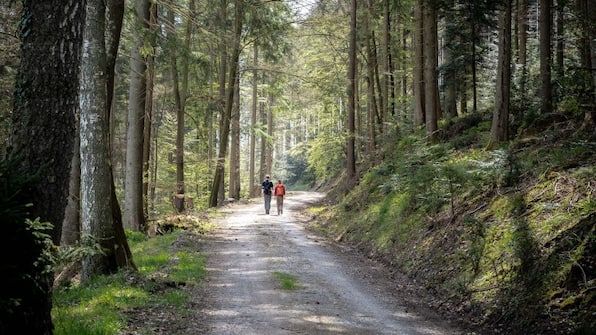 Omgeving - Rössle Berneck