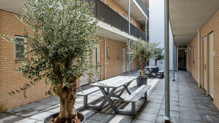Veranda - Hotel Residentie Vlissingen