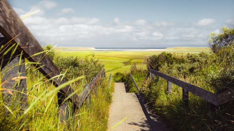 Umwelt - Landal Kustpark Texel