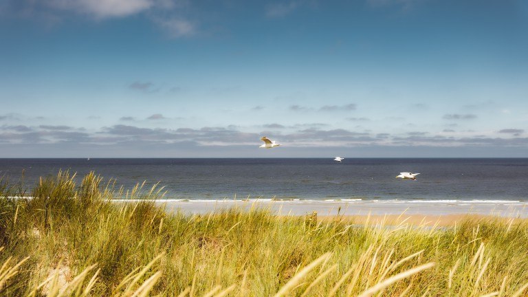 Umwelt - Landal Kustpark Texel