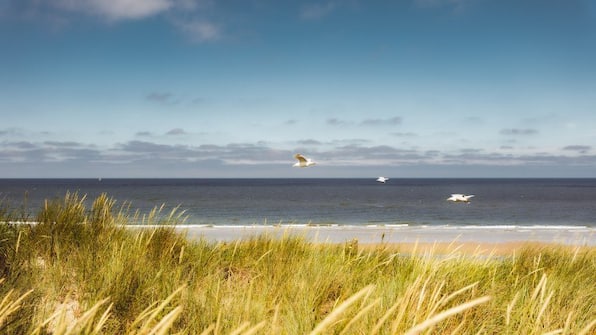 Omgeving - Roompot Kustpark Texel
