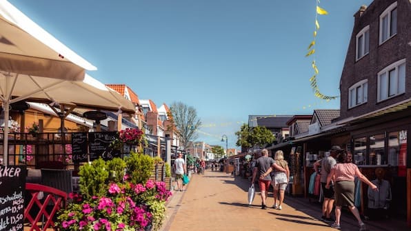 Omgeving - Landal Kustpark Texel