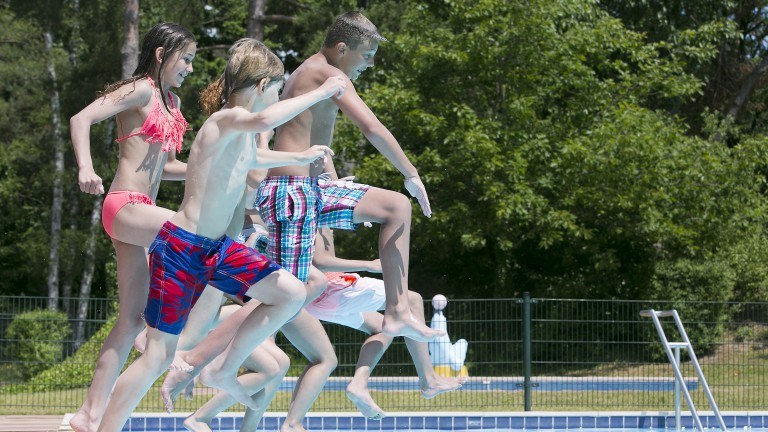 Pool - Landal Hunzepark