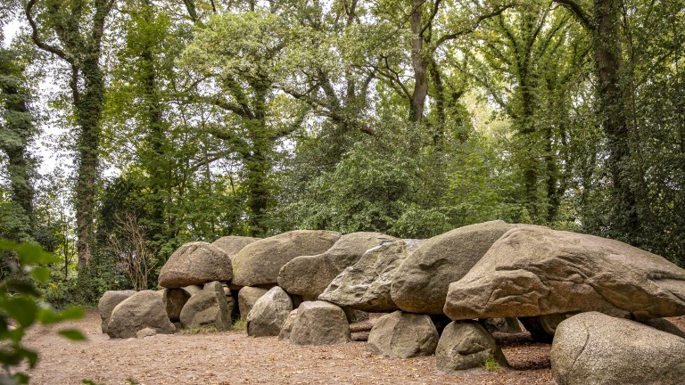 Umwelt - Landal Hunzepark